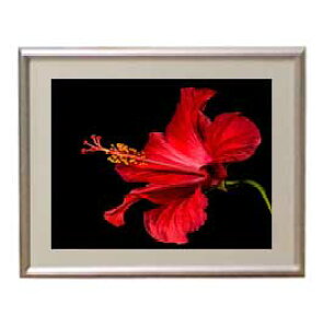 yG MdグzFlowers t[Y 013 A[gt[ TCY zS y zLoX Yz Ԃ̊G Õ 310×260mm CeAA[g  