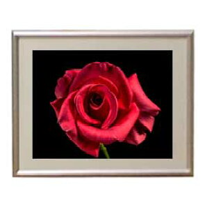 yG MdグzFlowers t[Y 014 A[gt[ TCY zS y zLoX Yz Ԃ̊G Õ 310×260mm CeAA[g  