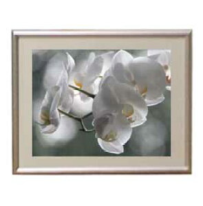 yG MdグzFlowers t[Y 016 A[gt[ TCY zS y zLoX Yz Ԃ̊G Õ 310×260mm CeAA[g  