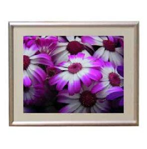 yG MdグzFlowers t[Y 019 A[gt[ TCY zS y zLoX Yz Ԃ̊G Õ 310×260mm CeAA[g  