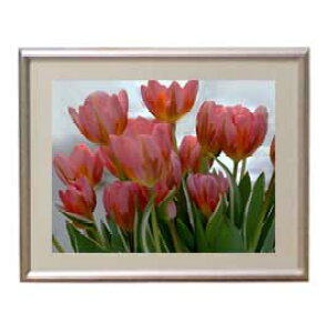 yG MdグzFlowers t[Y 020 A[gt[ TCY zS y zLoX Yz Ԃ̊G Õ 310×260mm CeAA[g  