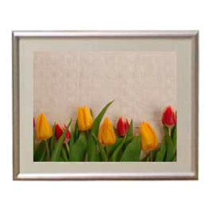 yG MdグzFlowers t[Y 021 A[gt[ TCY zS y zLoX Yz Ԃ̊G Õ 310×260mm CeAA[g  