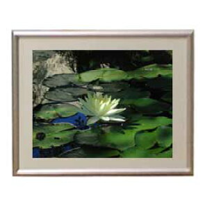 yG MdグzFlowers t[Y 022 A[gt[ TCY zS y zLoX Yz Ԃ̊G Õ 310×260mm CeAA[g  