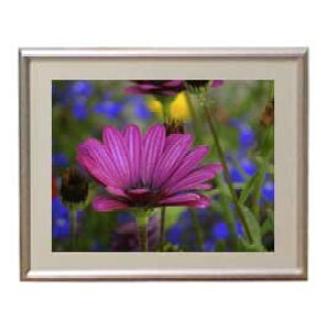 yG MdグzFlowers t[Y 025 A[gt[ TCY zS y zLoX Yz Ԃ̊G Õ 310×260mm CeAA[g  