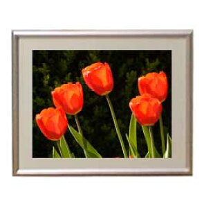 yG MdグzFlowers t[Y 026 A[gt[ TCY zS y zLoX Yz Ԃ̊G Õ 310×260mm CeAA[g  