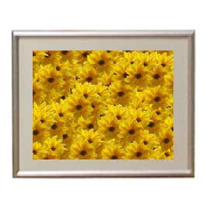 yG MdグzFlowers t[Y 028 A[gt[ TCY zS y zLoX Yz Ԃ̊G Õ 310×260mm CeAA[g  