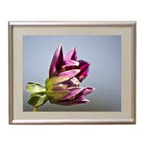 yG MdグzFlowers t[Y 031 A[gt[ TCY zS y zLoX Yz Ԃ̊G Õ 310×260mm CeAA[g  
