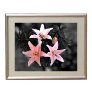 yG MdグzFlowers t[Y 032 A[gt[ TCY zS y zLoX Yz Ԃ̊G Õ 310×260mm CeAA[g  