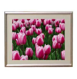 yG MdグzFlowers t[Y 036 A[gt[ TCY zS y zLoX Yz Ԃ̊G Õ 310×260mm CeAA[g  