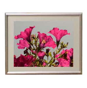 yG MdグzFlowers t[Y 037 A[gt[ TCY zS y zLoX Yz Ԃ̊G Õ 310×260mm CeAA[g  