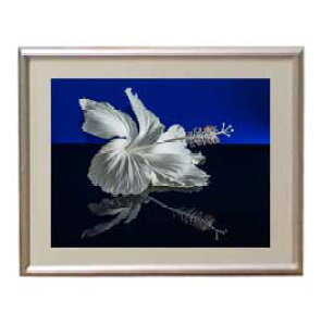 yG MdグzFlowers t[Y 038 A[gt[ TCY zS y zLoX Yz Ԃ̊G Õ 310×260mm CeAA[g  