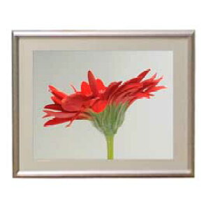 yG MdグzFlowers t[Y 039 A[gt[ TCY zS y zLoX Yz Ԃ̊G Õ 310×260mm CeAA[g  