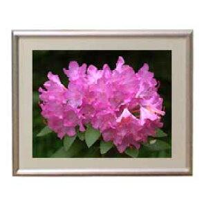 yG MdグzFlowers t[Y 040 A[gt[ TCY zS y zLoX Yz Ԃ̊G Õ 310×260mm CeAA[g  