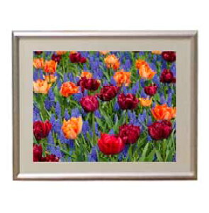 yG MdグzFlowers t[Y 042 A[gt[ TCY zS y zLoX Yz Ԃ̊G Õ 310×260mm CeAA[g  