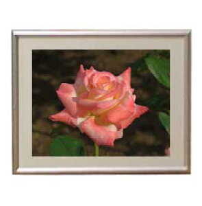 yG MdグzFlowers t[Y 043 A[gt[ TCY zS y zLoX Yz Ԃ̊G Õ 310×260mm CeAA[g  