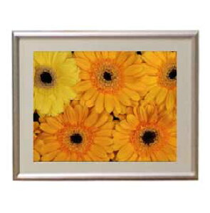 yG MdグzFlowers t[Y 044 A[gt[ TCY zS y zLoX Yz Ԃ̊G Õ 310×260mm CeAA[g  