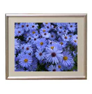 yG MdグzFlowers t[Y 045 A[gt[ TCY zS y zLoX Yz Ԃ̊G Õ 310×260mm CeAA[g  