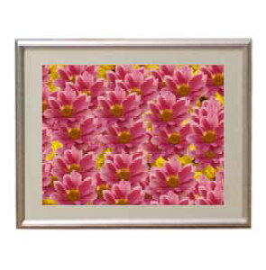 yG MdグzFlowers t[Y 046 A[gt[ TCY zS y zLoX Yz Ԃ̊G Õ 310×260mm CeAA[g  