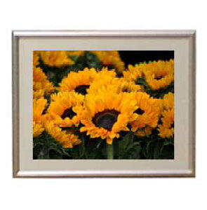yG MdグzFlowers t[Y 050 A[gt[ TCY zS y zLoX Yz Ԃ̊G Õ 310×260mm CeAA[g  