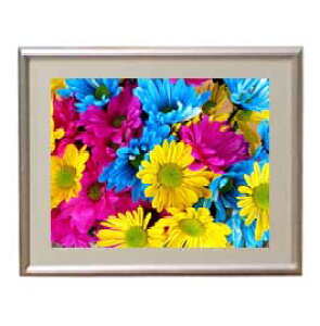yG MdグzFlowers t[Y 051 A[gt[ TCY zS y zLoX Yz Ԃ̊G Õ 310×260mm CeAA[g  