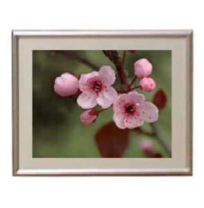 yG MdグzFlowers t[Y 052 A[gt[ TCY zS y zLoX Yz Ԃ̊G Õ 310×260mm CeAA[g  