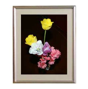 yG MdグzFlowers t[Y 056 A[gt[ TCY zS y zLoX Yz Ԃ̊G Õ 310×260mm CeAA[g  