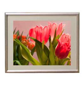 yG MdグzFlowers t[Y 059 A[gt[ TCY zS y zLoX Yz Ԃ̊G Õ 310×260mm CeAA[g  