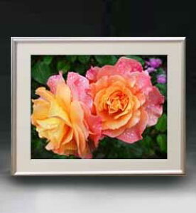 yG MdグzFlowers t[Y 001 A[gt[ TCY zM y zLoX Yz Ԃ̊G Õ 511×418mm CeAA[g  