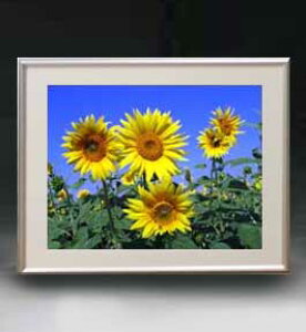 yG MdグzFlowers t[Y 002 A[gt[ TCY zM y zLoX Yz Ԃ̊G Õ 511×418mm CeAA[g  