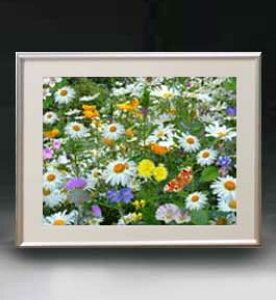 yG MdグzFlowers t[Y 007 A[gt[ TCY zM y zLoX Yz Ԃ̊G Õ 511×418mm CeAA[g  