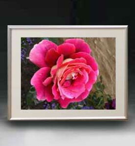 yG MdグzFlowers t[Y 008 A[gt[ TCY zM y zLoX Yz Ԃ̊G Õ 511×418mm CeAA[g  
