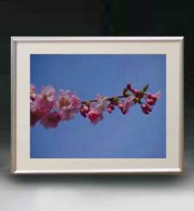 yG MdグzFlowers t[Y 010 A[gt[ TCY zM y zLoX Yz Ԃ̊G Õ 511×418mm CeAA[g  
