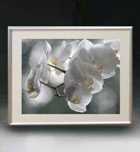 yG MdグzFlowers t[Y 016 A[gt[ TCY zM y zLoX Yz Ԃ̊G Õ 511×418mm CeAA[g  