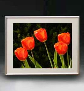 yG MdグzFlowers t[Y 026 A[gt[ TCY zM y zLoX Yz Ԃ̊G Õ 511×418mm CeAA[g  