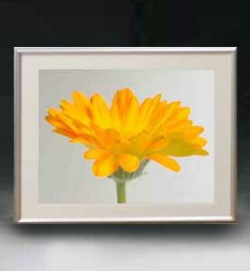 yG MdグzFlowers t[Y 029 A[gt[ TCY zM y zLoX Yz Ԃ̊G Õ 511×418mm CeAA[g  