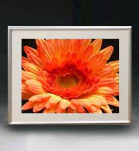 yG MdグzFlowers t[Y 030 A[gt[ TCY zM y zLoX Yz Ԃ̊G Õ 511×418mm CeAA[g  