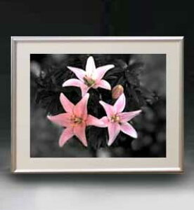 yG MdグzFlowers t[Y 032 A[gt[ TCY zM y zLoX Yz Ԃ̊G Õ 511×418mm CeAA[g  