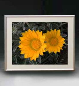 yG MdグzFlowers t[Y 033 A[gt[ TCY zM y zLoX Yz Ԃ̊G Õ 511×418mm CeAA[g  