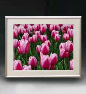 yG MdグzFlowers t[Y 036 A[gt[ TCY zM y zLoX Yz Ԃ̊G Õ 511×418mm CeAA[g  
