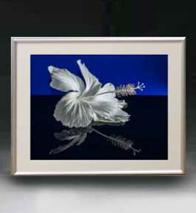 yG MdグzFlowers t[Y 038 A[gt[ TCY zM y zLoX Yz Ԃ̊G Õ 511×418mm CeAA[g  