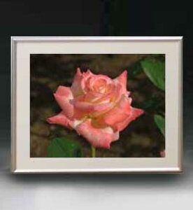 yG MdグzFlowers t[Y 043 A[gt[ TCY zM y zLoX Yz Ԃ̊G Õ 511×418mm CeAA[g  