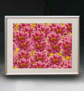 yG MdグzFlowers t[Y 046 A[gt[ TCY zM y zLoX Yz Ԃ̊G Õ 511×418mm CeAA[g  