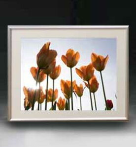 yG MdグzFlowers t[Y 048 A[gt[ TCY zM y zLoX Yz Ԃ̊G Õ 511×418mm CeAA[g  