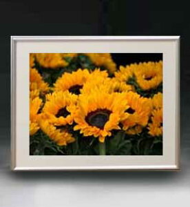 yG MdグzFlowers t[Y 050 A[gt[ TCY zM y zLoX Yz Ԃ̊G Õ 511×418mm CeAA[g  