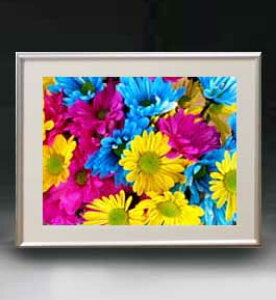 yG MdグzFlowers t[Y 051 A[gt[ TCY zM y zLoX Yz Ԃ̊G Õ 511×418mm CeAA[g  