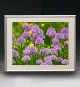 yG MdグzFlowers t[Y 053 A[gt[ TCY zM y zLoX Yz Ԃ̊G Õ 511×418mm CeAA[g  