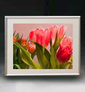 yG MdグzFlowers t[Y 059 A[gt[ TCY zM y zLoX Yz Ԃ̊G Õ 511×418mm CeAA[g  