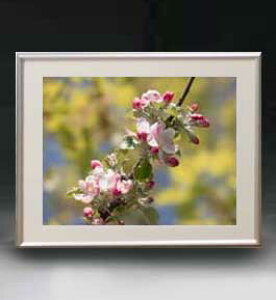 yG MdグzFlowers t[Y 060 A[gt[ TCY zM y zLoX Yz Ԃ̊G Õ 511×418mm CeAA[g  