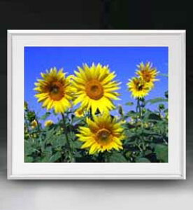 yG MdグzFlowers t[Y 002 A[gt[ TCY zL y zLoX Yz Ԃ̊G Õ 641×531mm CeAA[g  