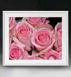 yG MdグzFlowers t[Y 011 A[gt[ TCY zL y zLoX Yz Ԃ̊G Õ 641×531mm CeAA[g  